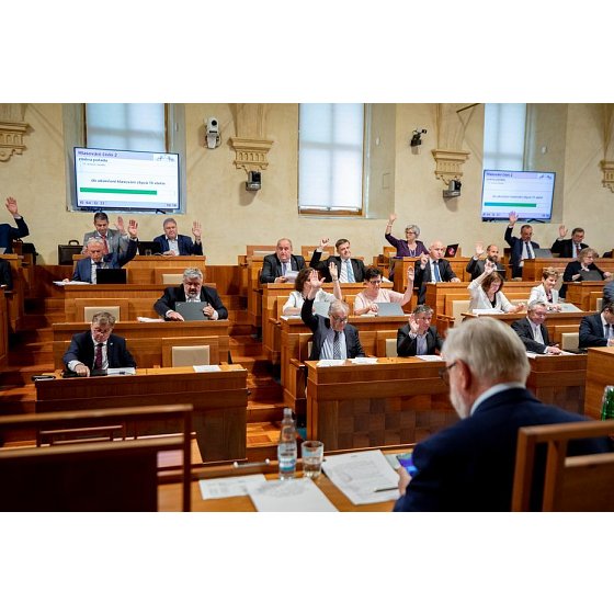 D. hlasuje v senátu