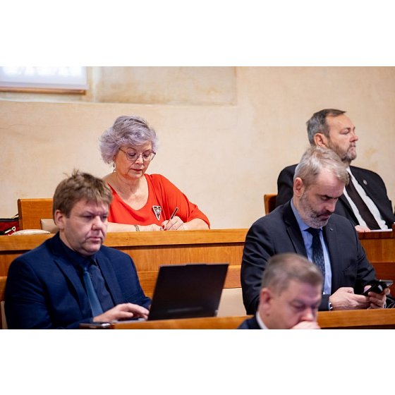Plénum senátu - prosinec 24