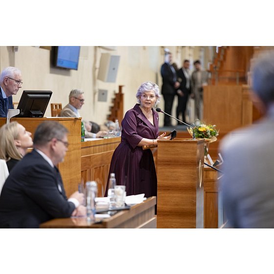 D. mluví na plénu Senátu